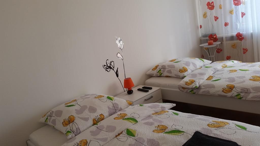 Studios Near Basel Airport Сен-Луи Стая снимка