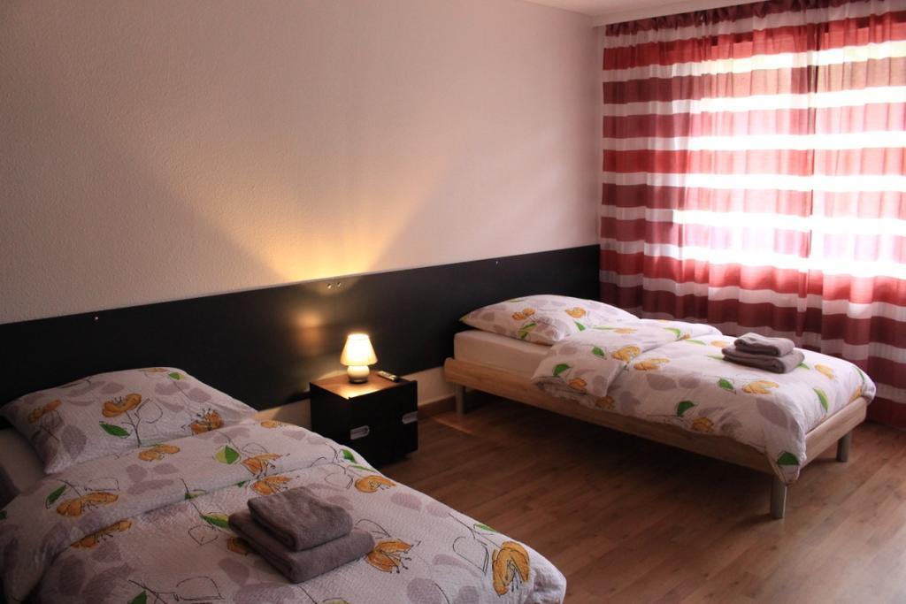 Studios Near Basel Airport Сен-Луи Екстериор снимка