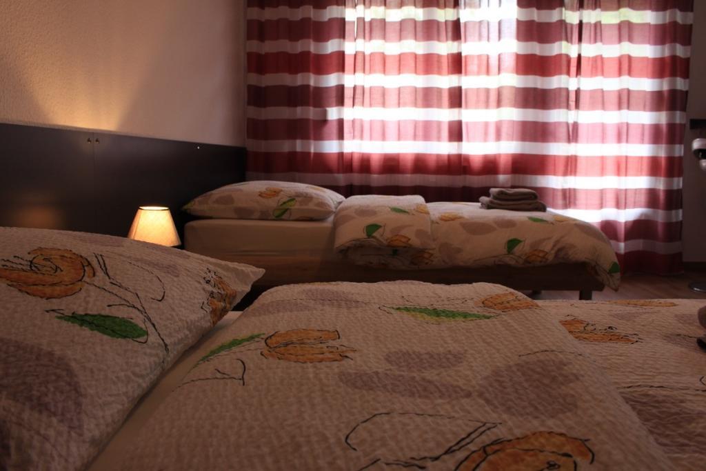 Studios Near Basel Airport Сен-Луи Екстериор снимка