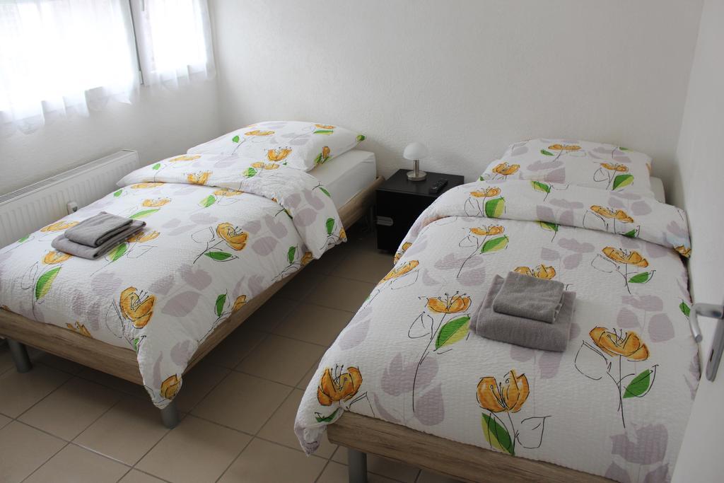 Studios Near Basel Airport Сен-Луи Екстериор снимка