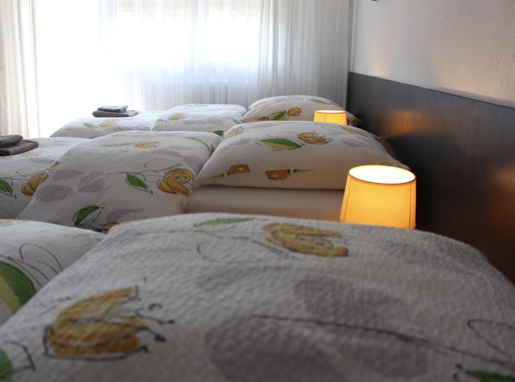 Studios Near Basel Airport Сен-Луи Екстериор снимка