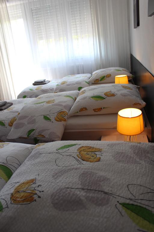 Studios Near Basel Airport Сен-Луи Екстериор снимка