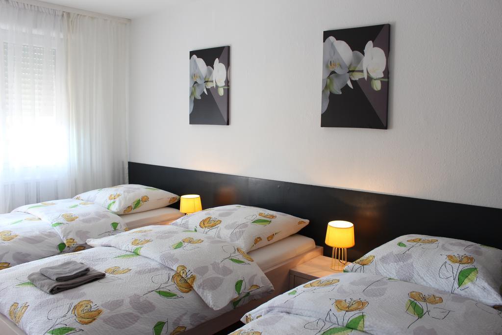 Studios Near Basel Airport Сен-Луи Екстериор снимка