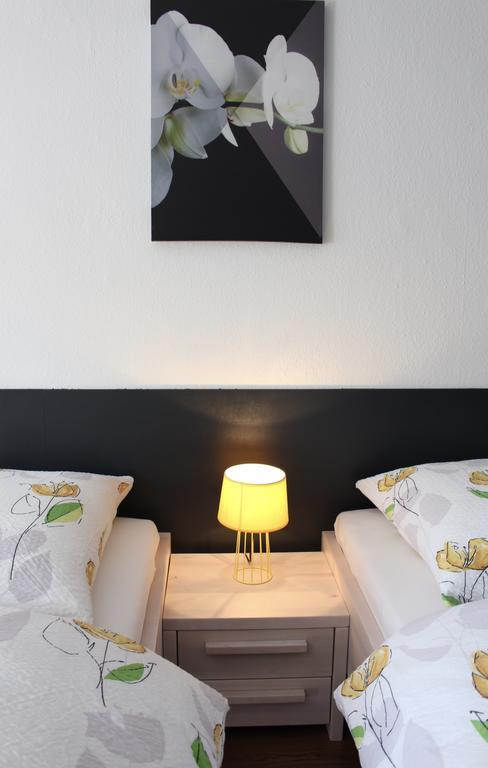 Studios Near Basel Airport Сен-Луи Екстериор снимка