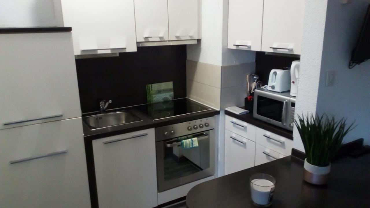 Studios Near Basel Airport Сен-Луи Екстериор снимка