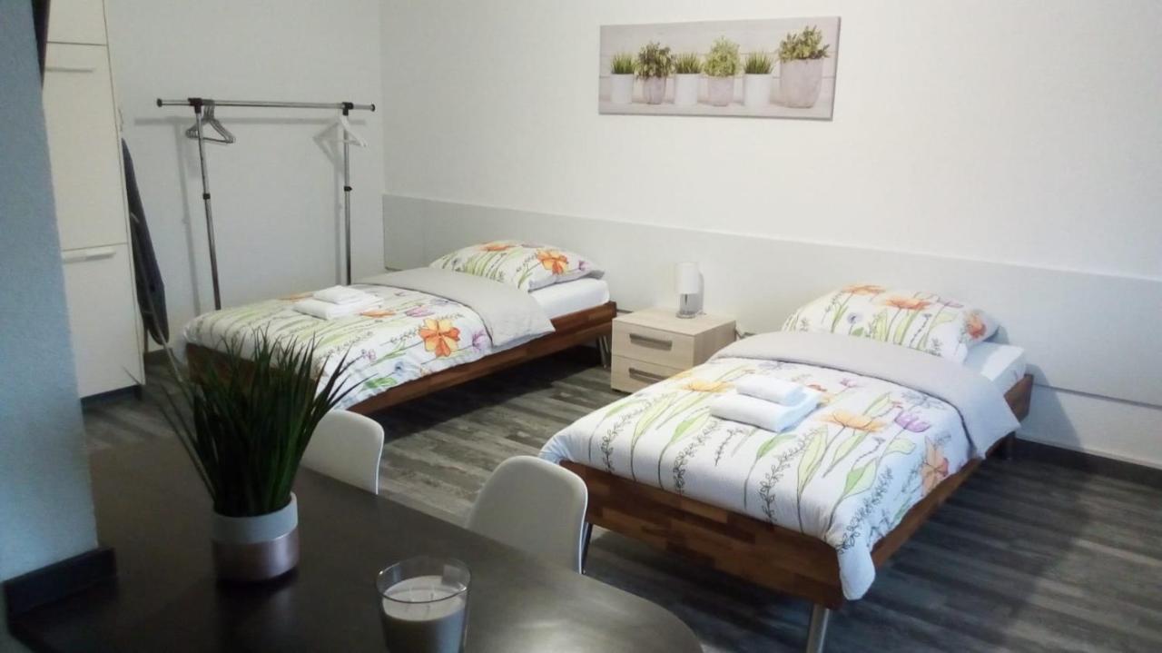 Studios Near Basel Airport Сен-Луи Екстериор снимка