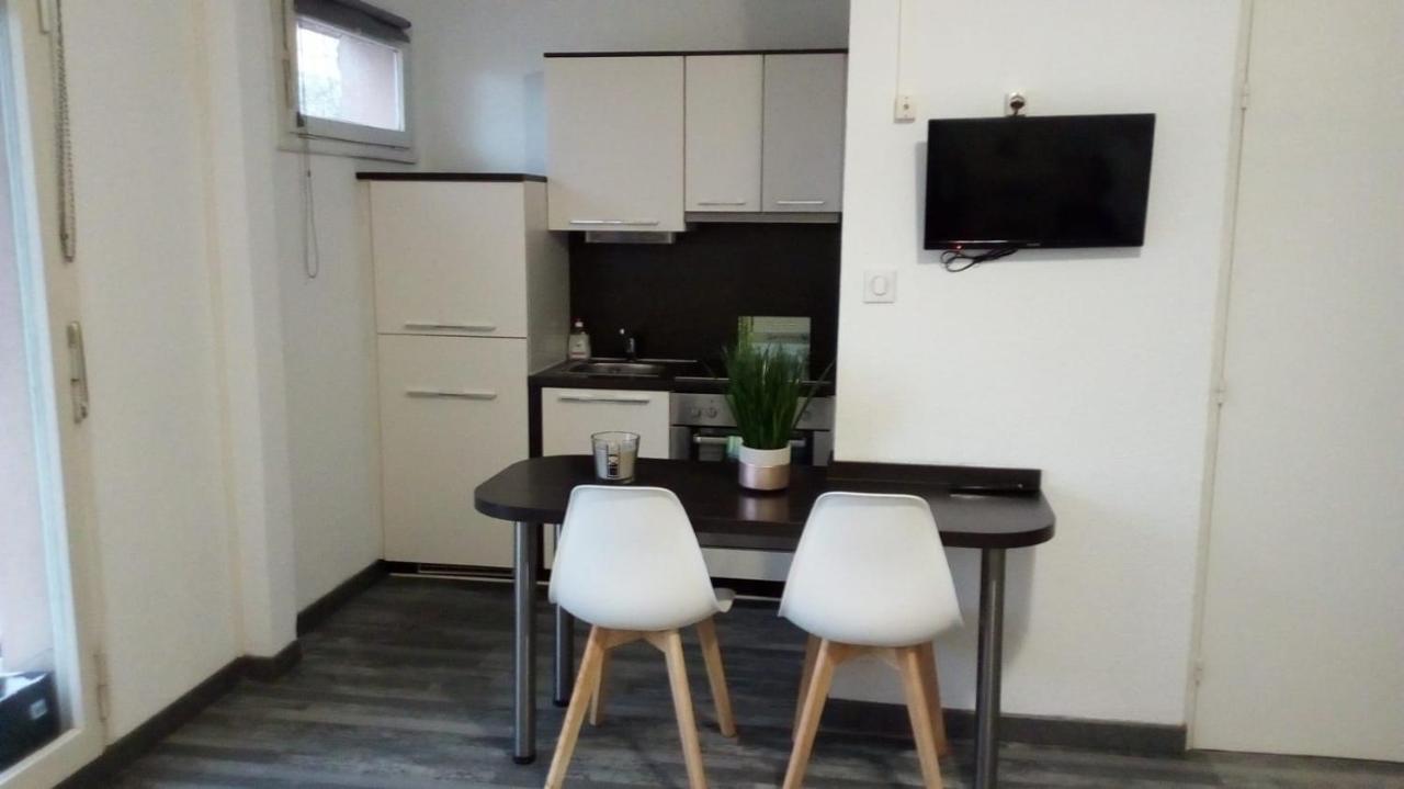 Studios Near Basel Airport Сен-Луи Екстериор снимка