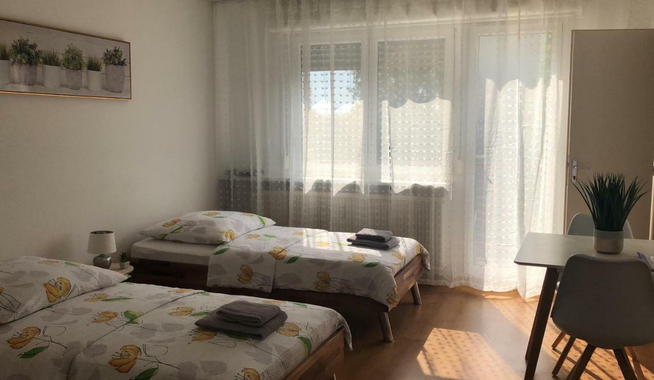 Studios Near Basel Airport Сен-Луи Екстериор снимка